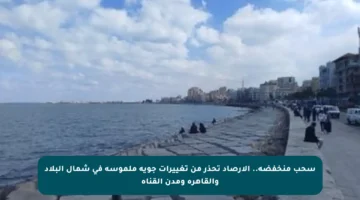 سحب منخفضة.. الأرصاد تحذر من تغييرات جوية ملموسة في شمال البلاد والقاهرة ومدن القناة
